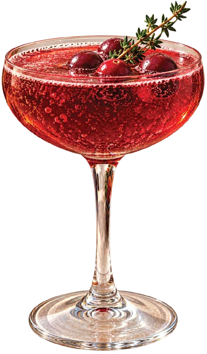 Cranberry Elderflower and Fresca Mocktail